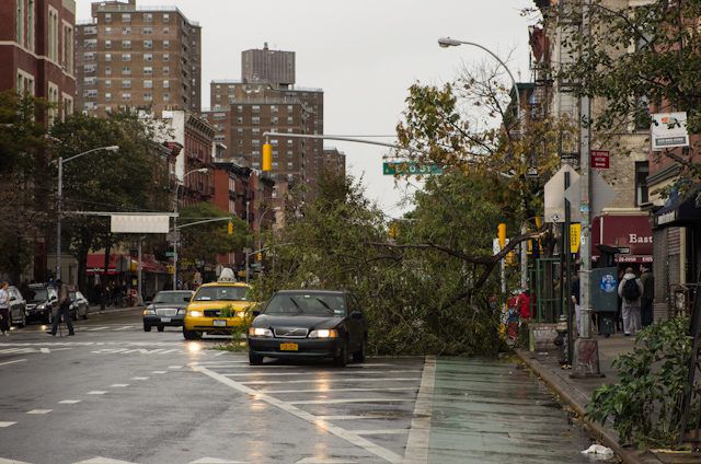 Tree down on 1st ave and 10th street. 